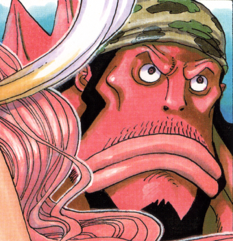 Fisher Tiger One Piece Wiki Fandom