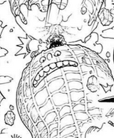 Volume One Piece Wiki Fandom Volume One Piece Wiki Fandom