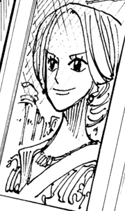 Nefertari Titi One Piece Wiki Fandom
