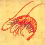 Volume 090 Intro Image