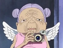 Amazon Anime Pre Timeskip Infobox