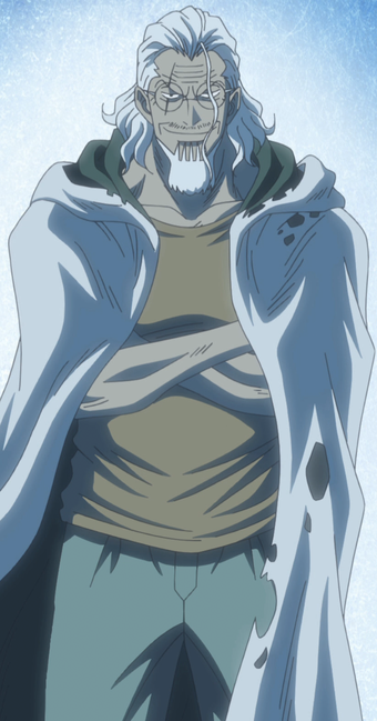 Silvers Rayleigh One Piece Wiki Fandom