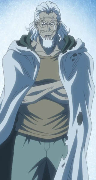Silvers Rayleigh One Piece Wiki Fandom