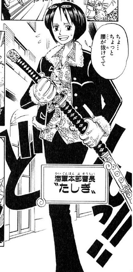 Tashigi before the timeskip in the manga