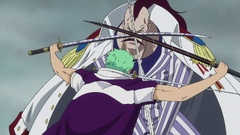 Momomga vs Zoro