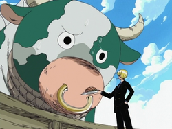 Sanji cerca di dare da mangiare a Momu.