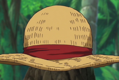 https://static.wikia.nocookie.net/onepiece/images/b/b2/Straw_Hat.png/revision/latest/smart/width/386/height/259?cb=20231119104349