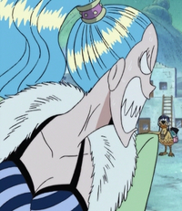 Nefertari Vivi One Piece Wiki Fandom