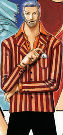 Iceburg One Piece Wiki Fandom