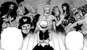 Luffy denkt an seine Mannschaft