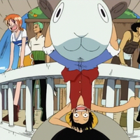 We Are One Piece Wiki Fandom ★ lagump3downloads.com on lagump3downloads.com we do not stay all the mp3 files as they are in different websites from which. we are one piece wiki fandom