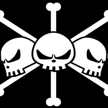 Blackbeard Pirates One Piece Wiki Fandom