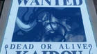 Kaido Wanted Poster