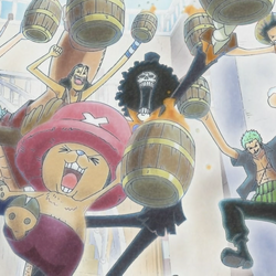 One Piece Encyclopedie Fandom