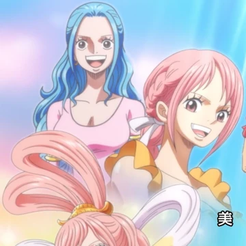 Princess One Piece Wiki Fandom