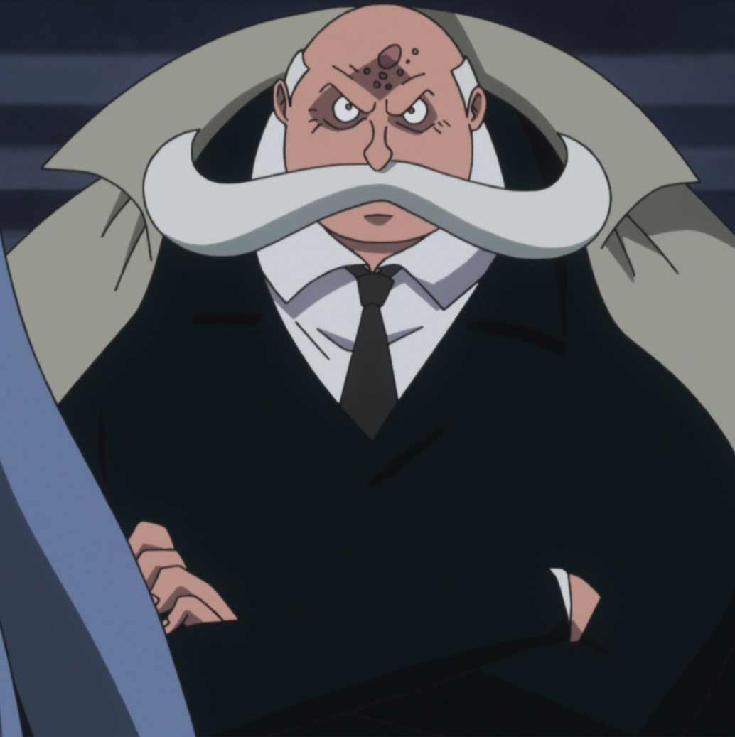 Minister of the Right, One Piece Wiki, Fandom