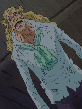 Donquixote Homing One Piece Wiki Fandom