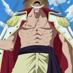 One Piece Wiki Fandom One Piece Wiki Fandom