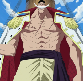 Edward Newgate | Việt One Piece Wiki | Fandom