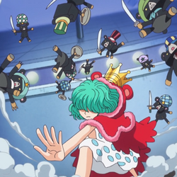 Arc Dressrosa One Piece Encyclopedie Fandom