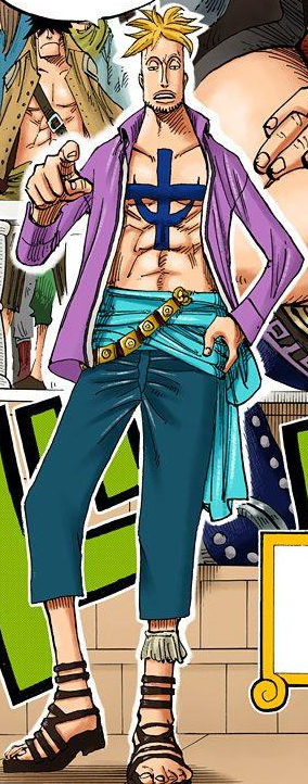 Marco One Piece Wiki Fandom Marco One Piece Wiki Fandom