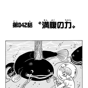 Chapter 842 One Piece Wiki Fandom Chapter 842 One Piece Wiki Fandom