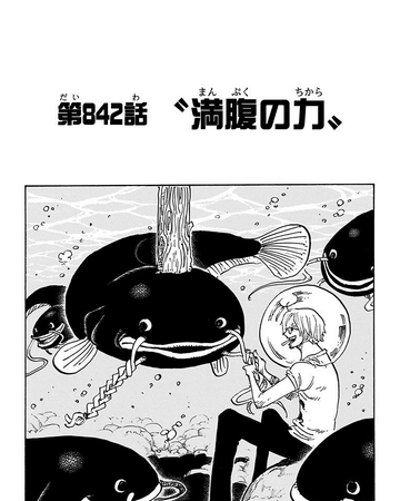 chapter 842 one piece wiki fandom