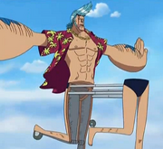 Franky centauro