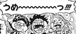 Luffy, Chopper and Bonney Eating