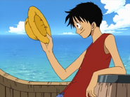 Luffy and Straw Hat We Are!