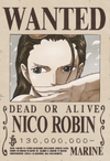 Wanted Posters One Piece Wiki Fandom