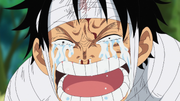 Luffy Cries Over the Death of Ace