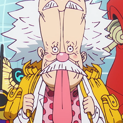 One piece stampede online pl hotsell