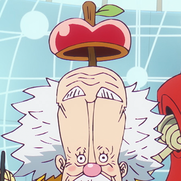 Scientist One Piece Wiki Fandom