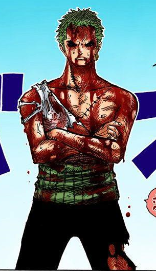 QUAL SERIA A AKUMA NO MI DO ZORO #shorts #onepiece #zoro #luffy #anime