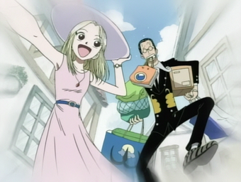 Black Cat Pirates One Piece Wiki Fandom