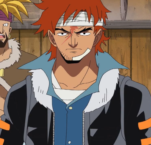 Puzzle One Piece Wiki Fandom Puzzle One Piece Wiki Fandom