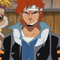 Puzzle One Piece Wiki Fandom