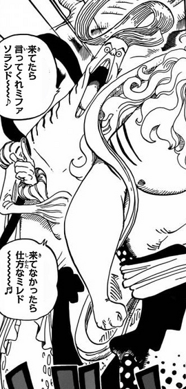 Tapis One Piece Pirates - Manga Dojo