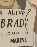 Bobrad's Wanted Poster