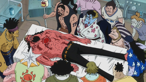 Fisher Tiger One Piece Wiki Fandom Fisher Tiger One Piece Wiki Fandom