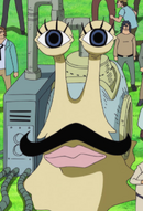 Aren't Live Action den den mushis backwards? Aren't they are supposed to  have the face of the person CALLING, and not their owner's face? :  r/OnePiece