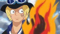Anime One Piece Ace Flame-Flame Fruit Mera Mera no Mi Devil Fruit Figure
