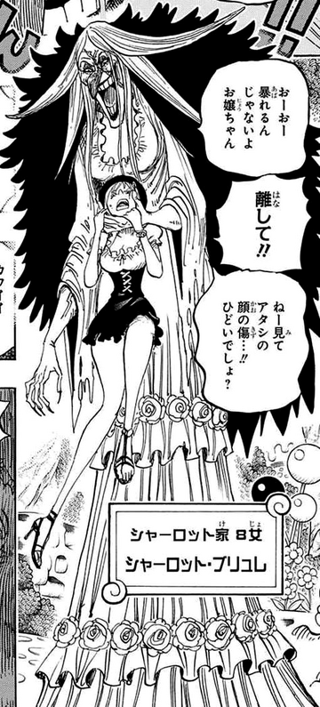 Chopper's True Bounty In One Piece (Chapter 885+) 