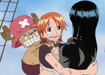 Nami and Chopper Embrace Robin