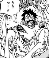 Volume 78 One Piece Wiki Fandom