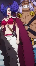 Cho One Piece Wiki Fandom