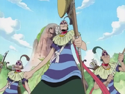 Kumate Anime Infobox.png