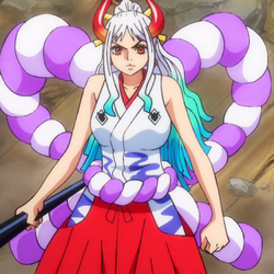 One Piece Wiki Fandom