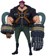 Cidre One Piece Wiki Fandom